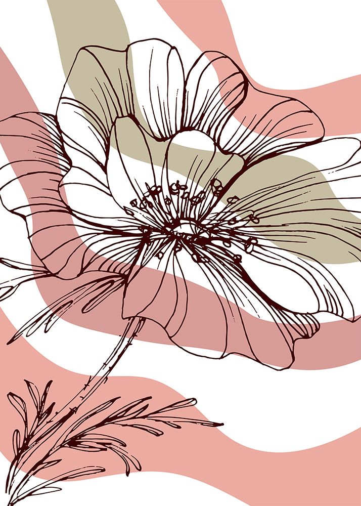Poppy vintage art print by AcantStudio for $57.95 CAD