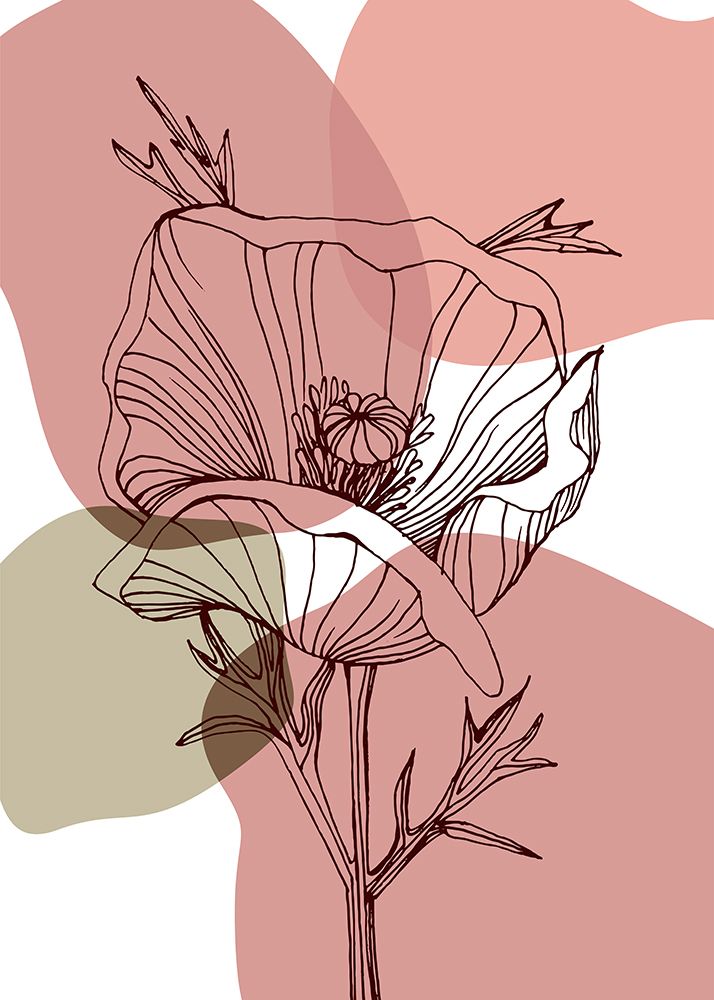 Poppy floral art print by AcantStudio for $57.95 CAD