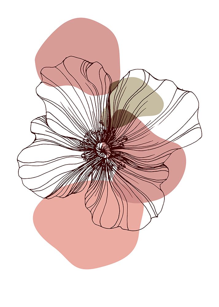 Poppies art print by AcantStudio for $57.95 CAD