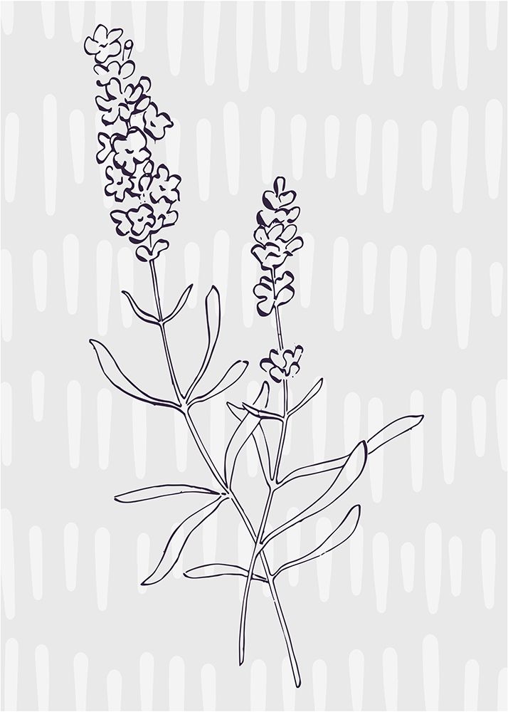 Lavender 1 art print by AcantStudio for $57.95 CAD