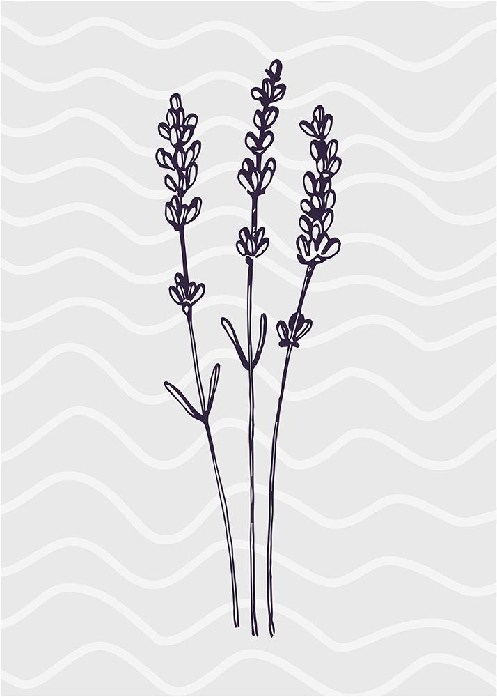 Lavender 3 art print by AcantStudio for $57.95 CAD