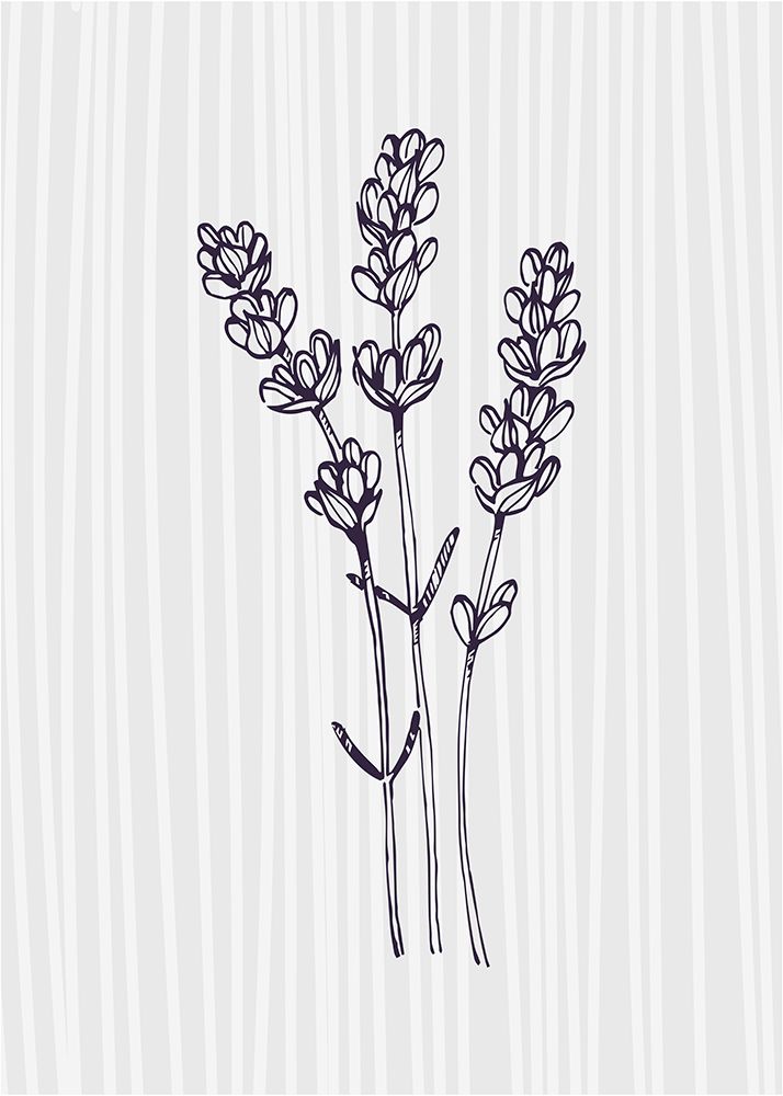 Lavender 4 art print by AcantStudio for $57.95 CAD