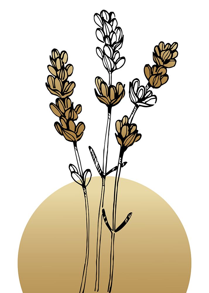 Lavender 17 art print by AcantStudio for $57.95 CAD