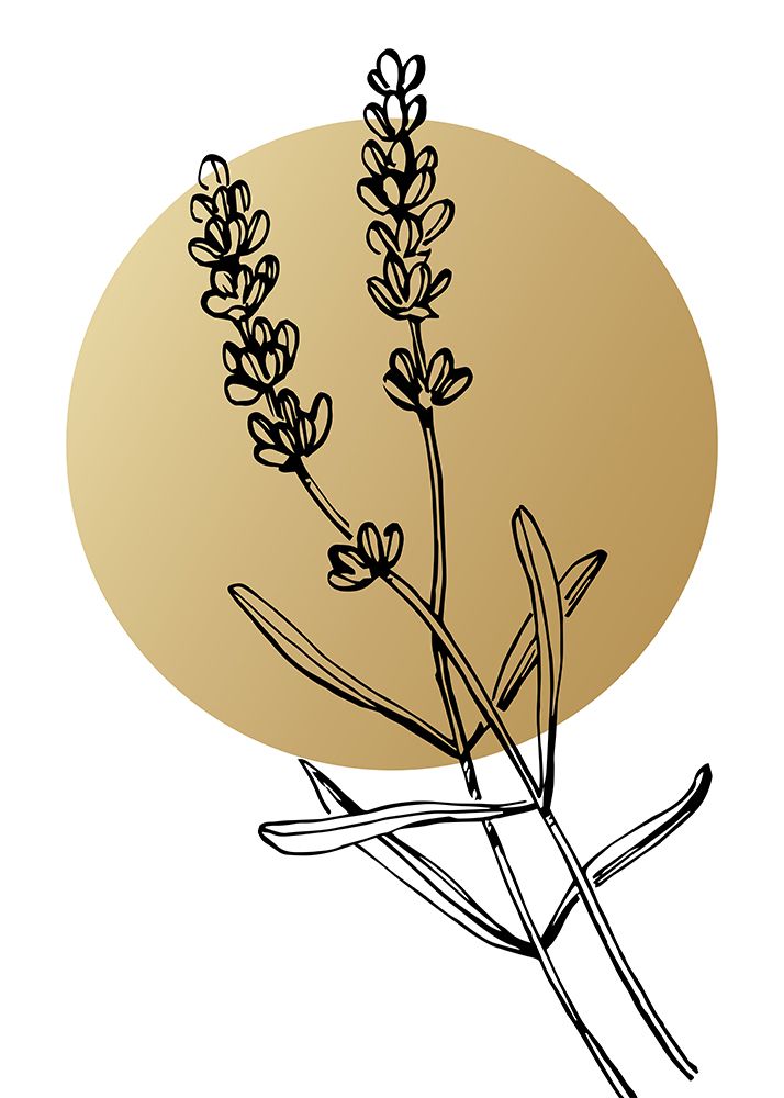 Lavender 20 art print by AcantStudio for $57.95 CAD