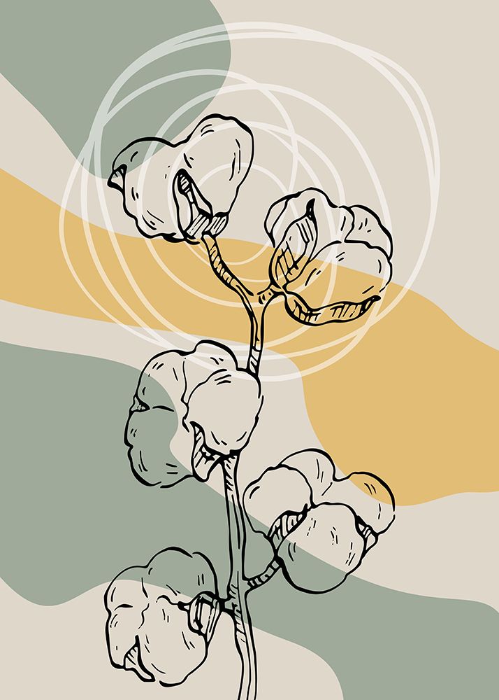 Cotton 5 art print by AcantStudio for $57.95 CAD