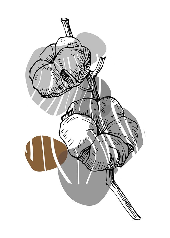 Cotton 11 art print by AcantStudio for $57.95 CAD