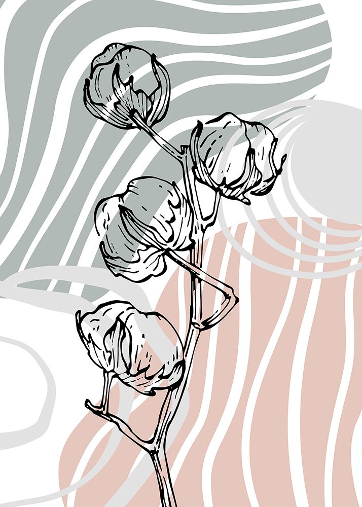 Cotton 14 art print by AcantStudio for $57.95 CAD