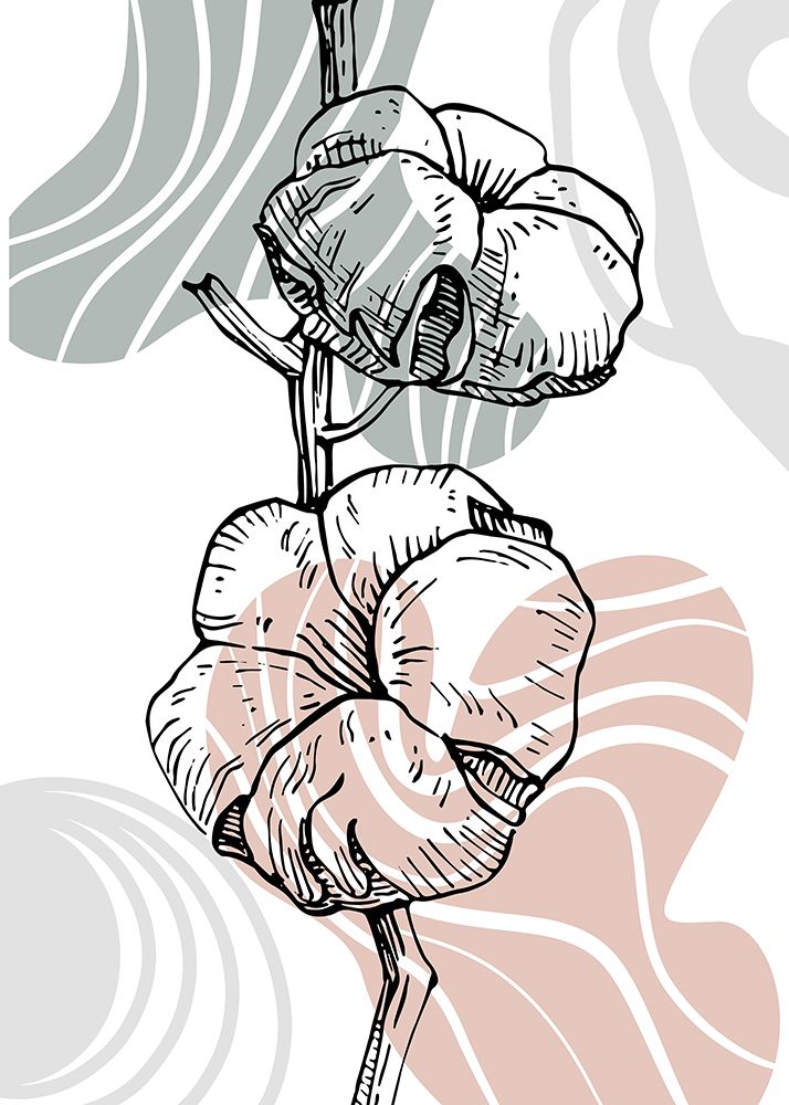 Cotton 16 art print by AcantStudio for $57.95 CAD