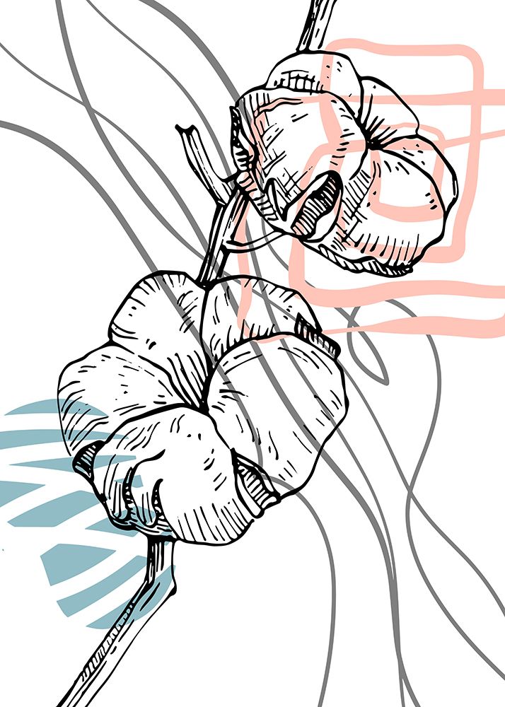 Cotton 20 art print by AcantStudio for $57.95 CAD