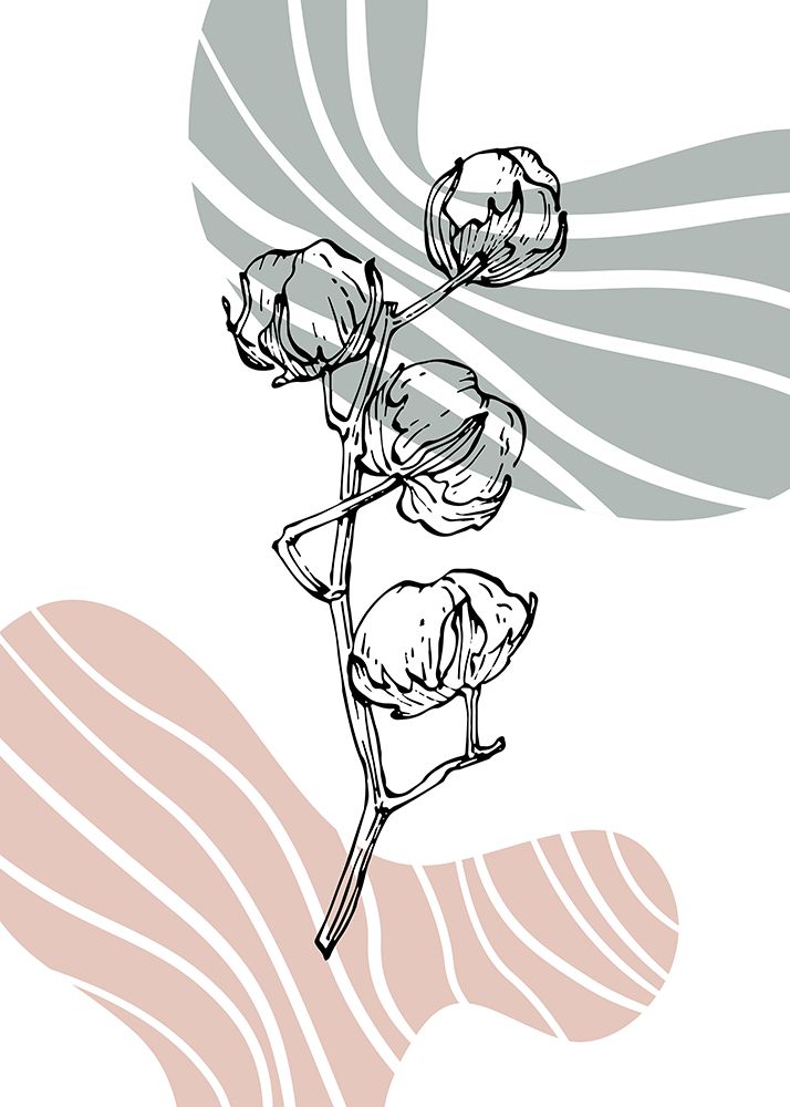 Cotton 28 art print by AcantStudio for $57.95 CAD