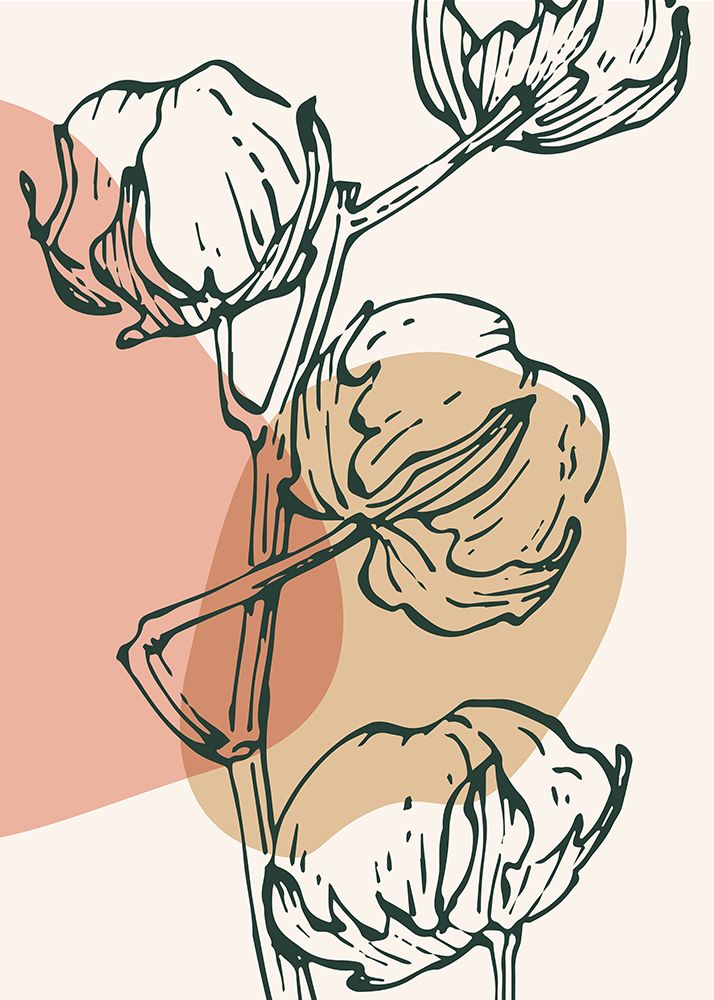 Cotton 31 art print by AcantStudio for $57.95 CAD