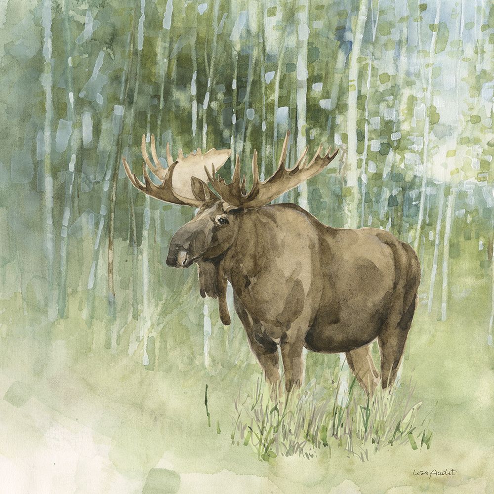 Natures Call V art print by Lisa Audit for $57.95 CAD