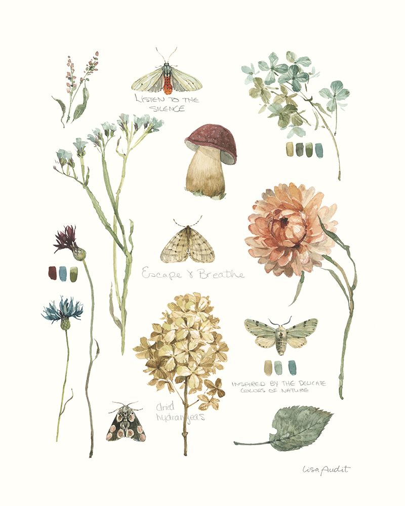 Seasons Study IV art print by Lisa Audit for $57.95 CAD