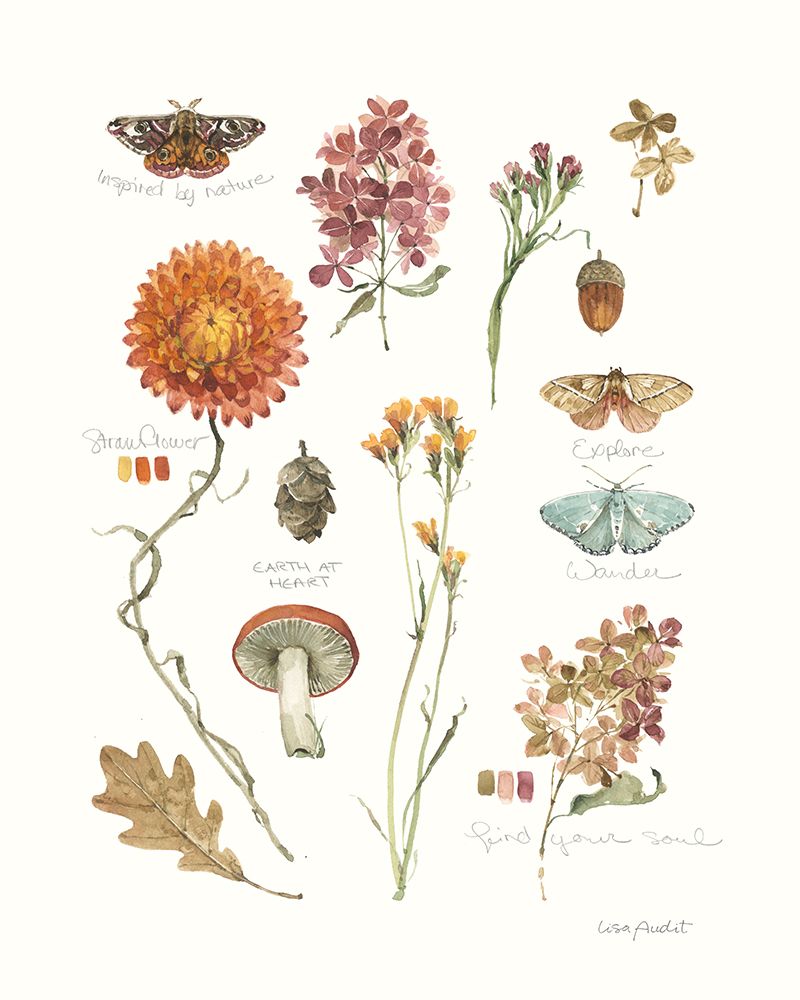 Seasons Study V art print by Lisa Audit for $57.95 CAD