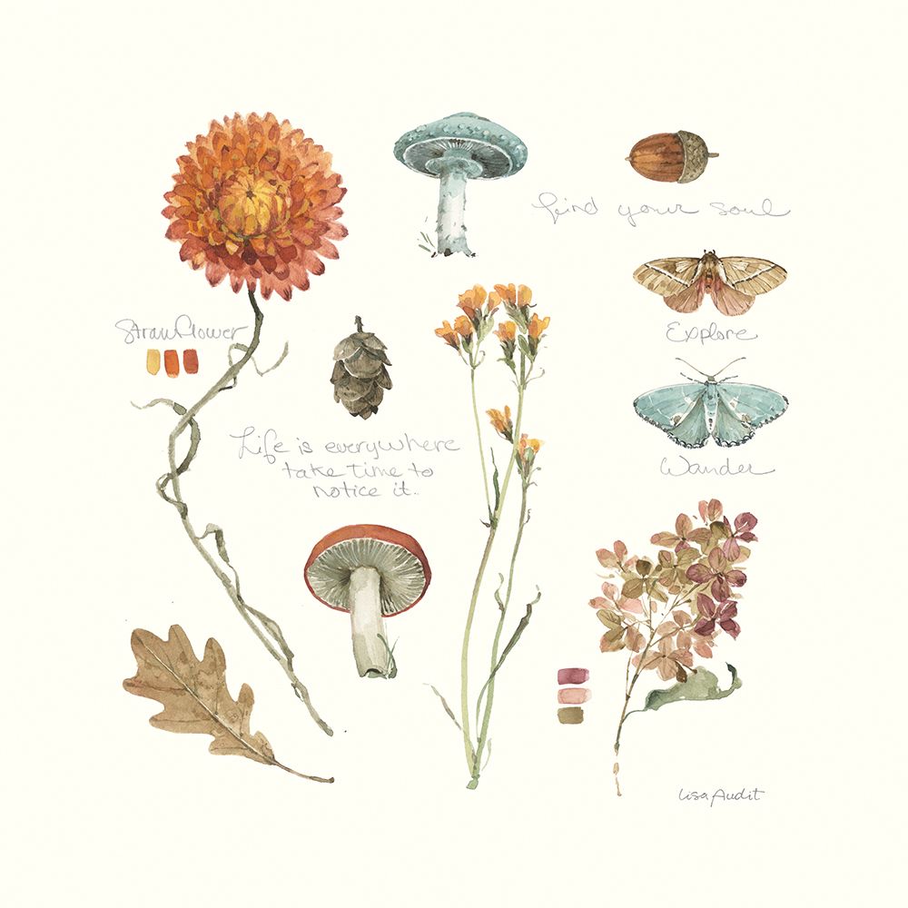 Seasons Study VII art print by Lisa Audit for $57.95 CAD