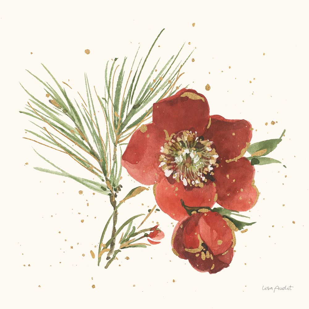 Winter Blooms V art print by Lisa Audit for $57.95 CAD