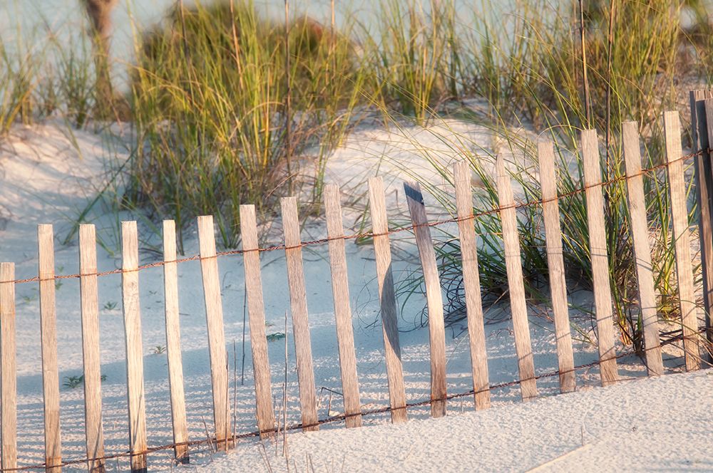 Dune Fences I art print by Danny Head for $57.95 CAD