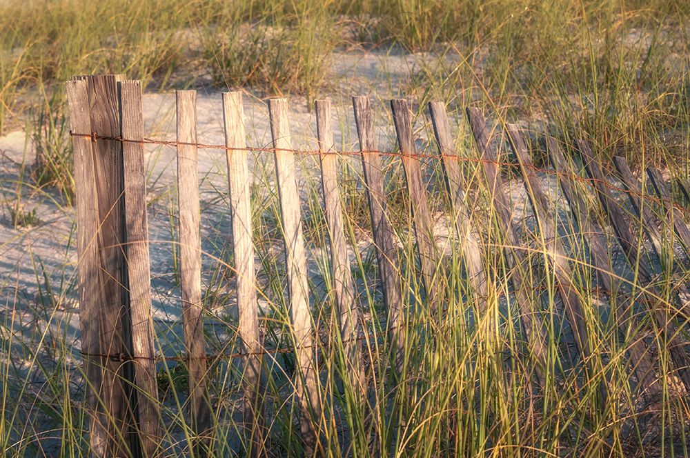Dune Fences II art print by Danny Head for $57.95 CAD