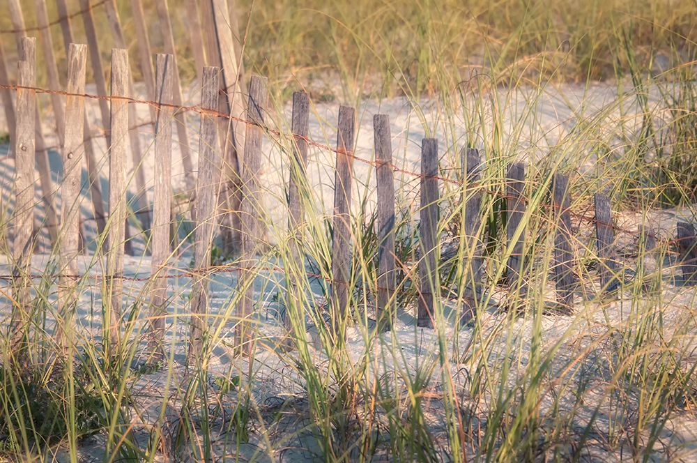 Dune Fences III art print by Danny Head for $57.95 CAD