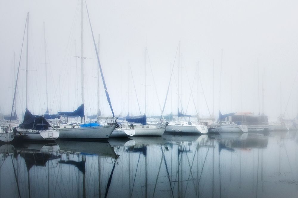 Blue Sails art print by Danny Head for $57.95 CAD