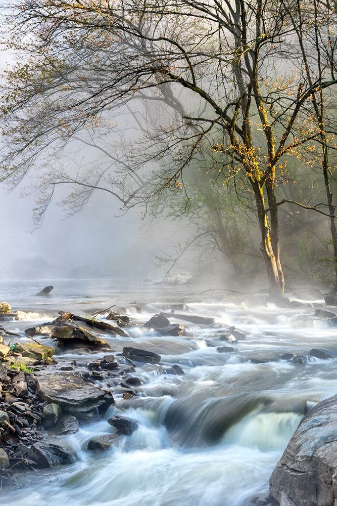 Crisp Mist art print by Danny Head for $57.95 CAD