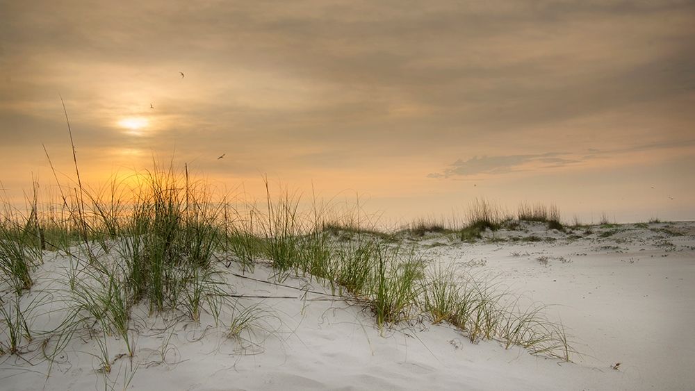 Gulf Sunrise art print by Danny Head for $57.95 CAD