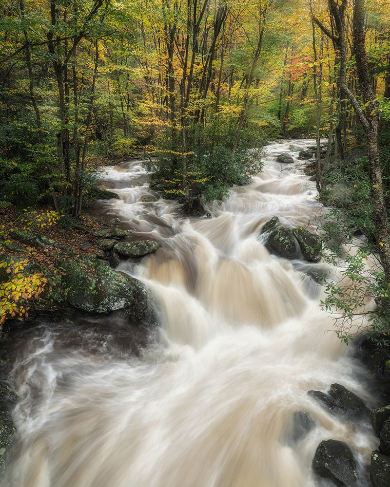 High Water art print by Danny Head for $57.95 CAD