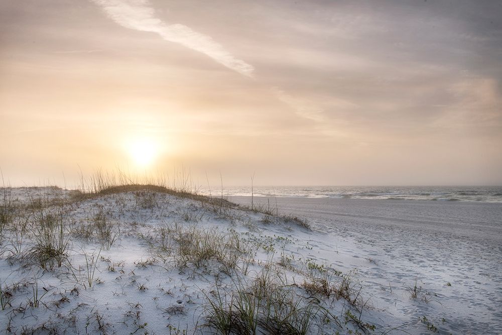 Foggy Dunes art print by Danny Head for $57.95 CAD