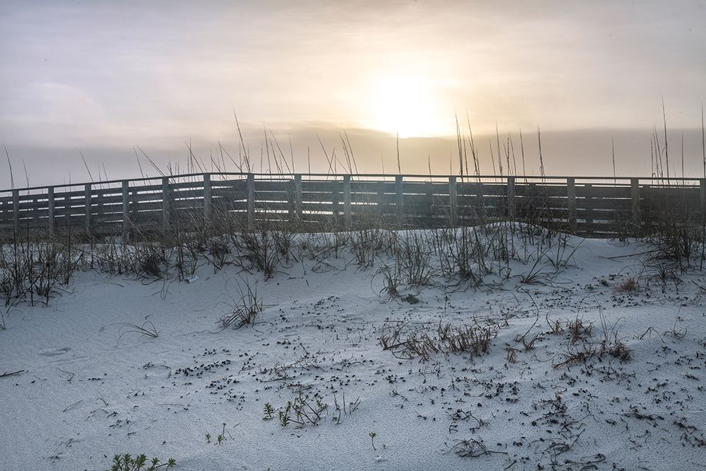 Boardwalk II art print by Danny Head for $57.95 CAD