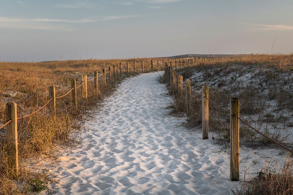 Beach Tracks art print by Danny Head for $57.95 CAD