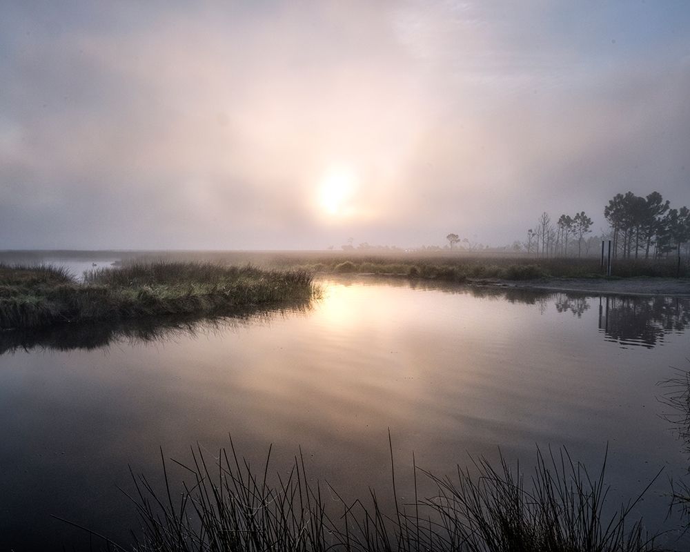 Fog on the Bayou art print by Danny Head for $57.95 CAD
