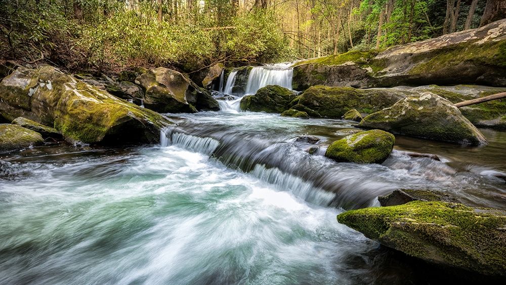 Mountain Creek art print by Danny Head for $57.95 CAD