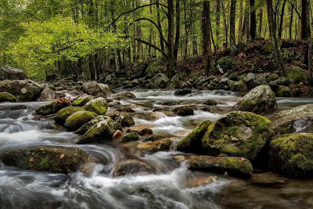Big Creek art print by Danny Head for $57.95 CAD