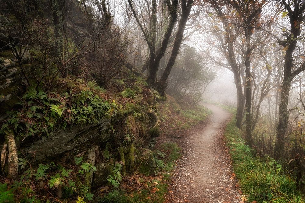 Hikers Dream art print by Danny Head for $57.95 CAD