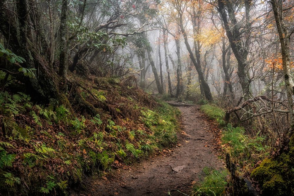 Long Walk art print by Danny Head for $57.95 CAD
