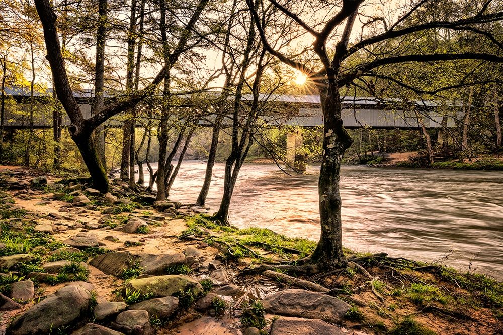 Swann Bridge I art print by Danny Head for $57.95 CAD