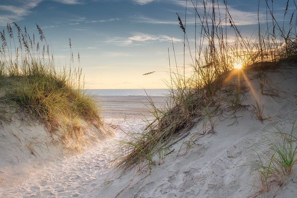 The Dunes art print by Danny Head for $57.95 CAD