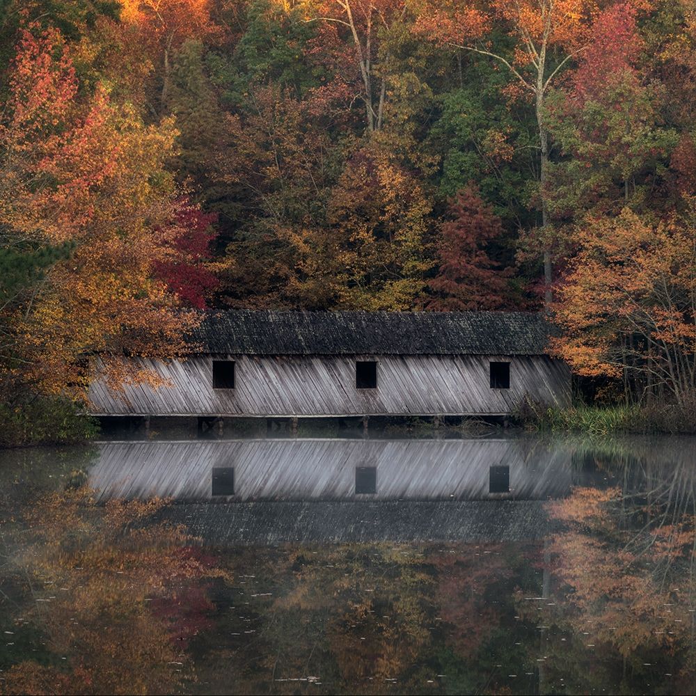 Reflections I art print by Danny Head for $57.95 CAD