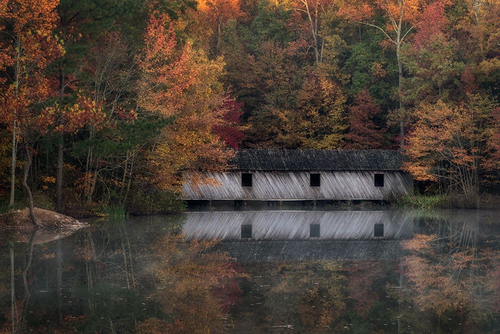 Reflections II art print by Danny Head for $57.95 CAD