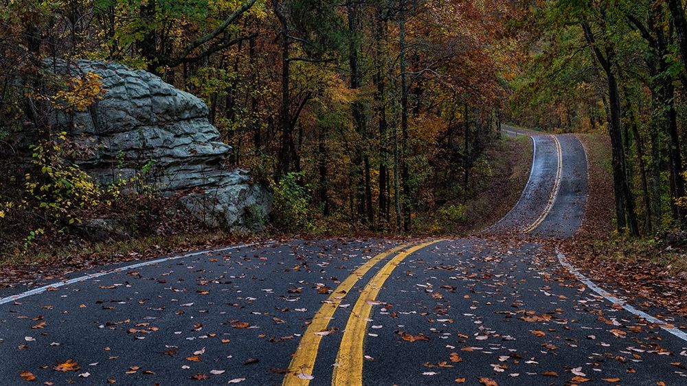 Autumn Drive III art print by Danny Head for $57.95 CAD