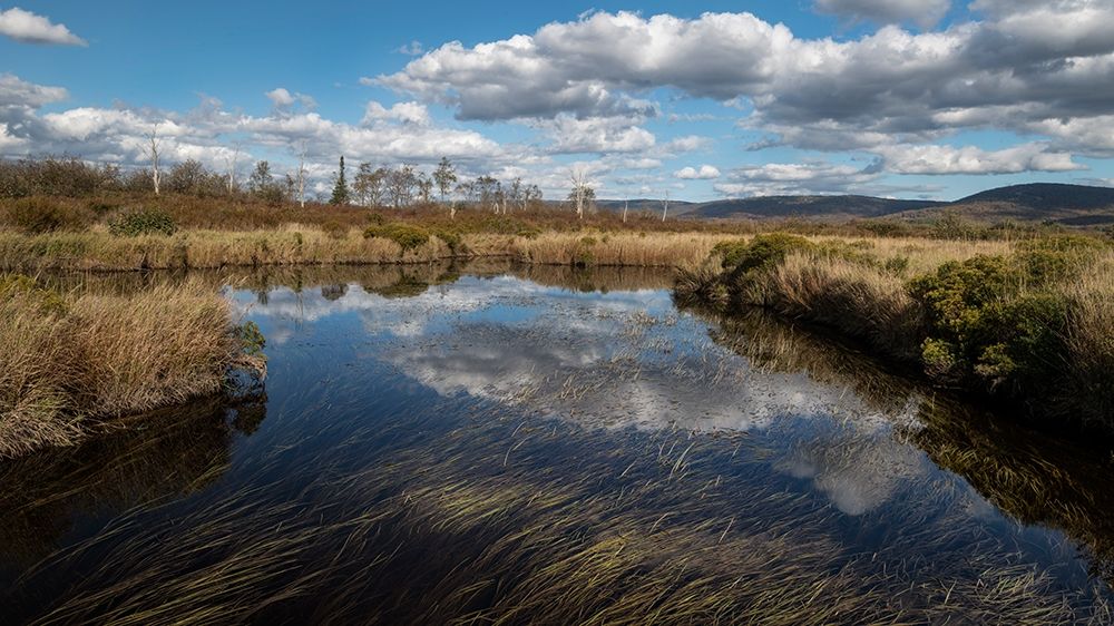 Blackwater Creek art print by Danny Head for $57.95 CAD