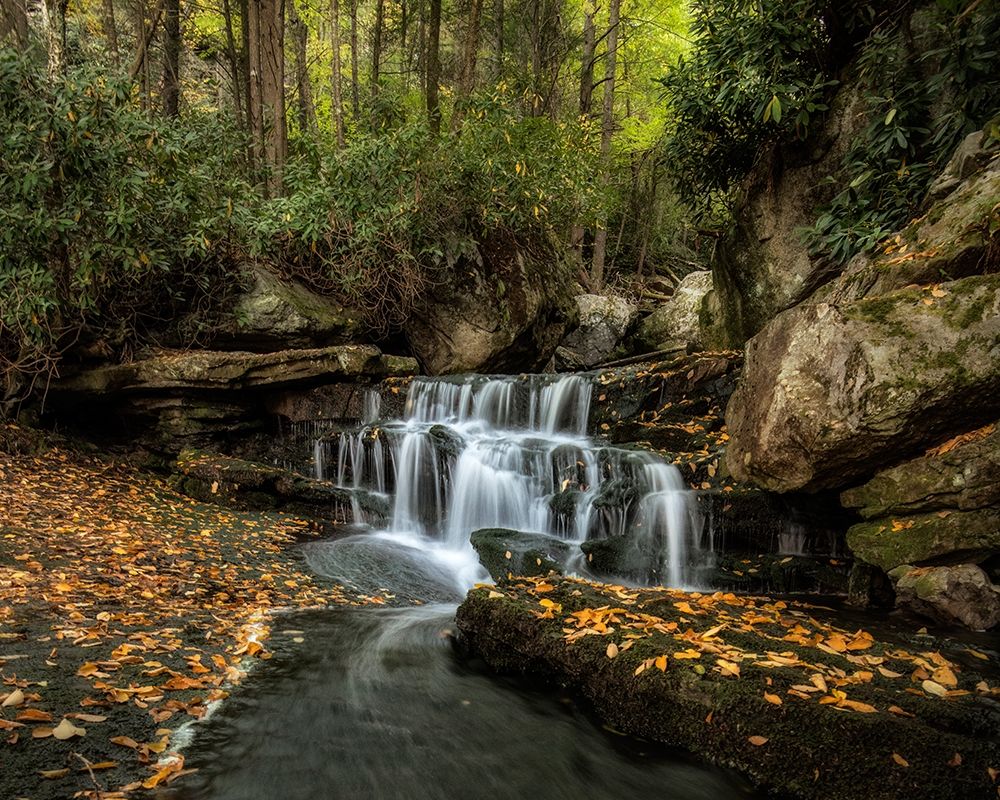 Lower Elakala Falls art print by Danny Head for $57.95 CAD