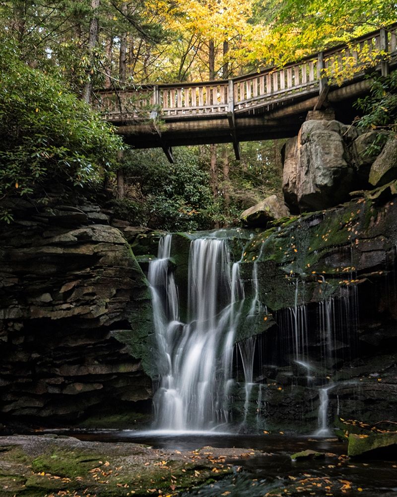 Elakala Falls I art print by Danny Head for $57.95 CAD