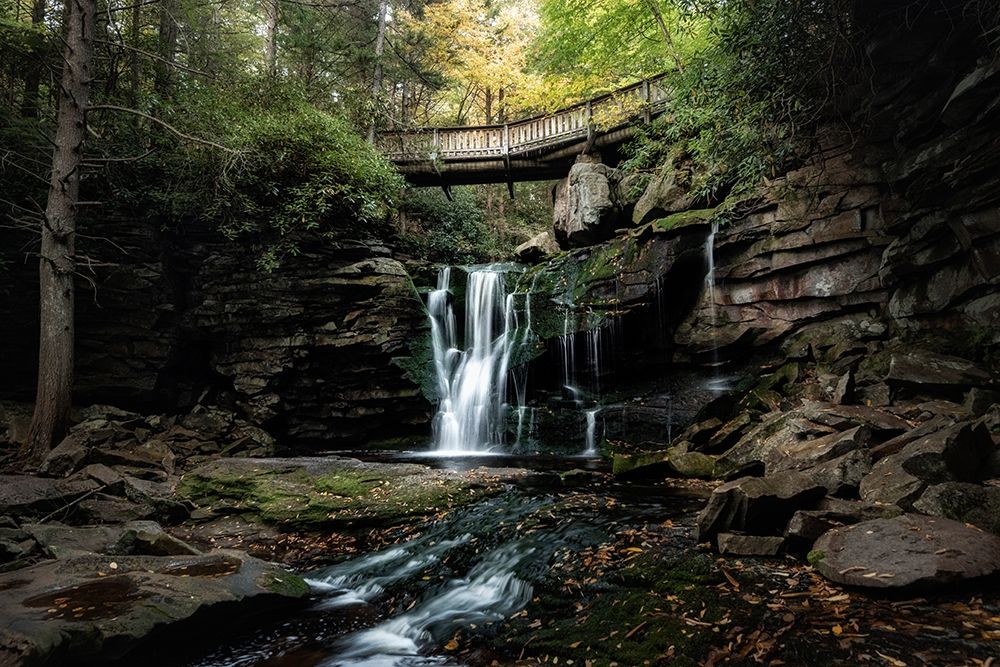 Elakala Falls II art print by Danny Head for $57.95 CAD