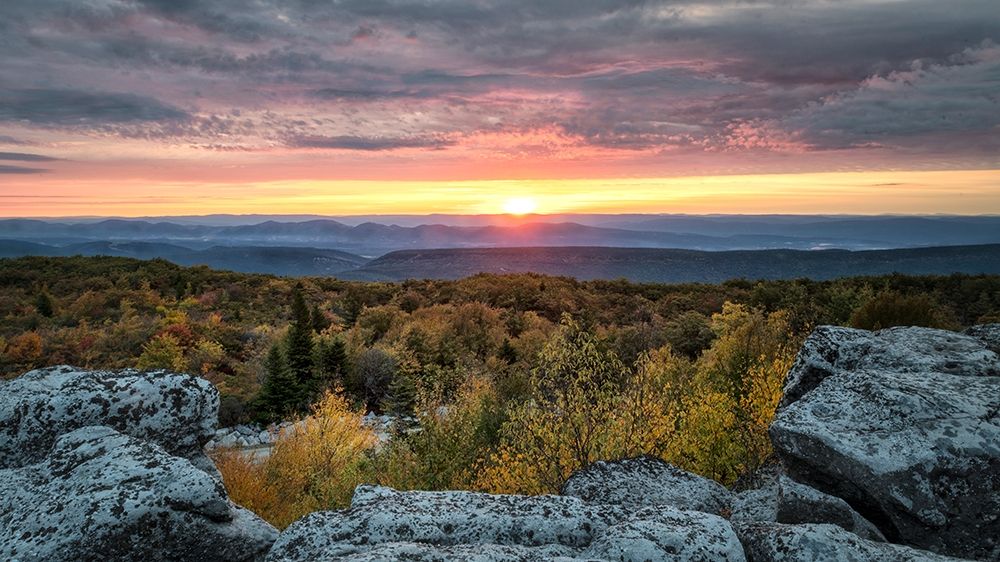 Yellow Dawn I art print by Danny Head for $57.95 CAD