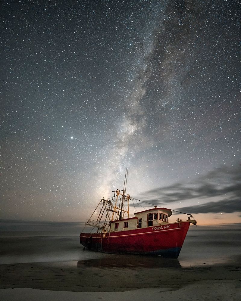 Settled In art print by Danny Head for $57.95 CAD