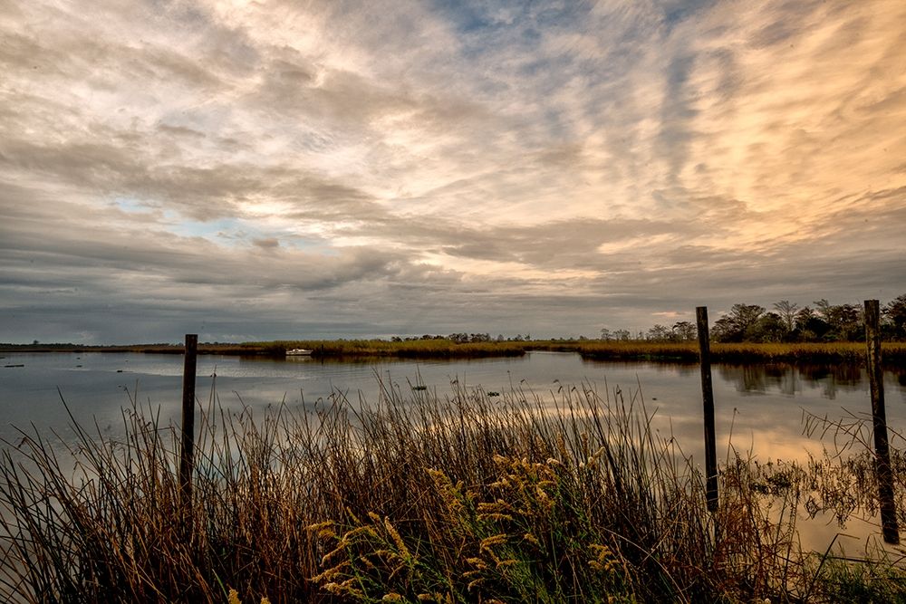 Lagoon Sunset art print by Danny Head for $57.95 CAD