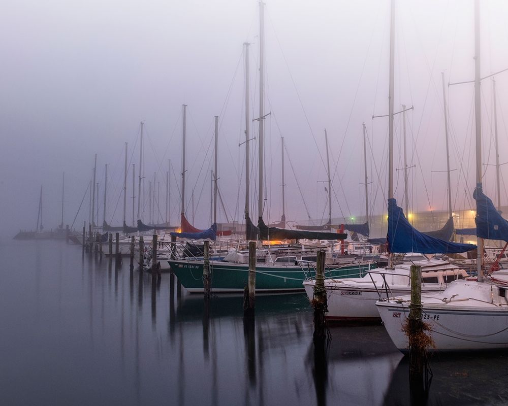 Sleepy Marina art print by Danny Head for $57.95 CAD