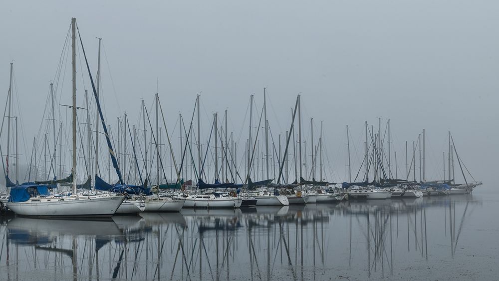 Foggy Marina II art print by Danny Head for $57.95 CAD