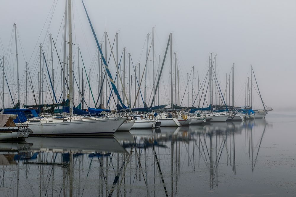 Foggy Marina II art print by Danny Head for $57.95 CAD